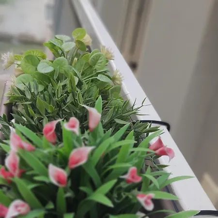 Amazing Apartament *